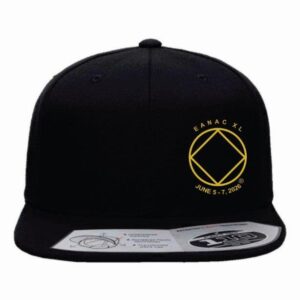 Black Flat Beak Cap
